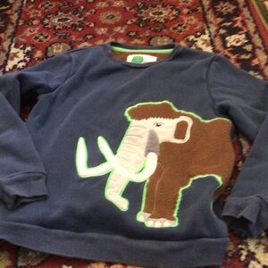 Mini Boden Navy Sweatshirt with Brown Mammoth and Lime Trim